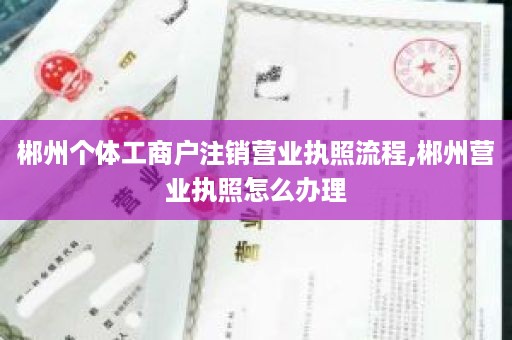 郴州个体工商户注销营业执照流程,郴州营业执照怎么办理