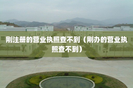 刚注册的营业执照查不到（刚办的营业执照查不到）