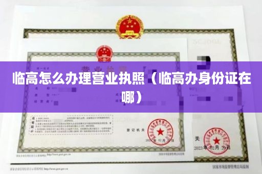 临高怎么办理营业执照（临高办身份证在哪）