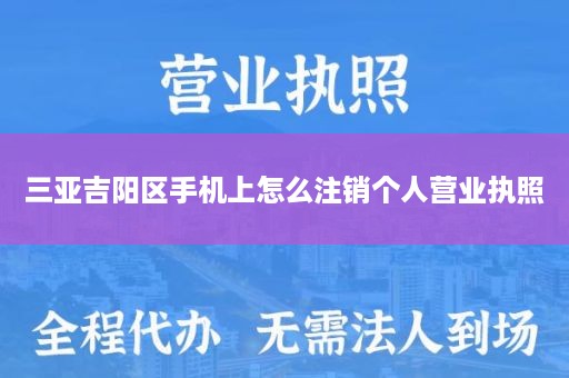 三亚吉阳区手机上怎么注销个人营业执照