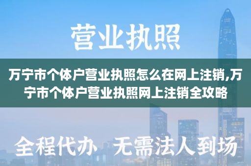 万宁市个体户营业执照怎么在网上注销,万宁市个体户营业执照网上注销全攻略