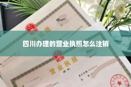四川办理的营业执照怎么注销
