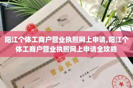 阳江个体工商户营业执照网上申请,阳江个体工商户营业执照网上申请全攻略