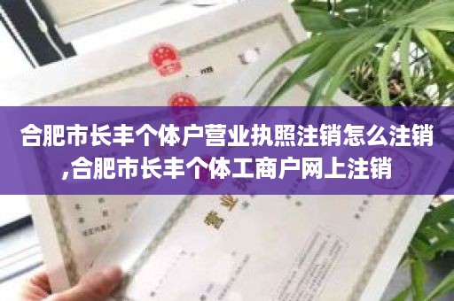 合肥市长丰个体户营业执照注销怎么注销,合肥市长丰个体工商户网上注销