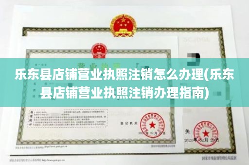 乐东县店铺营业执照注销怎么办理(乐东县店铺营业执照注销办理指南)