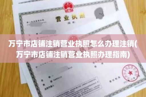 万宁市店铺注销营业执照怎么办理注销(万宁市店铺注销营业执照办理指南)