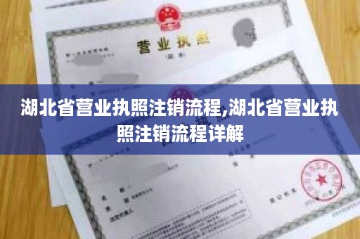 湖北省营业执照注销流程,湖北省营业执照注销流程详解