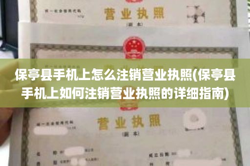 保亭县手机上怎么注销营业执照(保亭县手机上如何注销营业执照的详细指南)