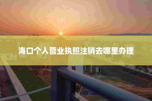 海口个人营业执照注销去哪里办理
