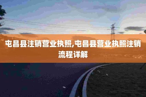 屯昌县注销营业执照,屯昌县营业执照注销流程详解