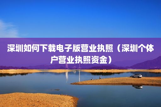 深圳如何下载电子版营业执照（深圳个体户营业执照资金）