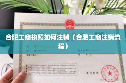 合肥工商执照如何注销（合肥工商注销流程）