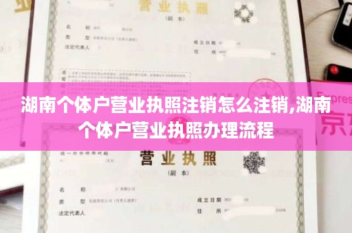 湖南个体户营业执照注销怎么注销,湖南个体户营业执照办理流程