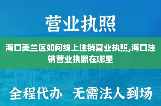 海口美兰区如何线上注销营业执照,海口注销营业执照在哪里