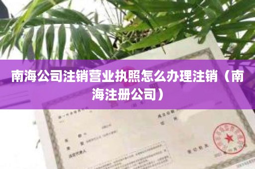 南海公司注销营业执照怎么办理注销（南海注册公司）