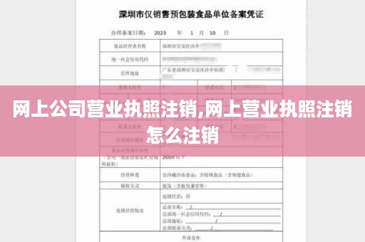 网上公司营业执照注销,网上营业执照注销怎么注销
