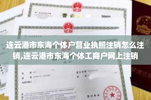 连云港市东海个体户营业执照注销怎么注销,连云港市东海个体工商户网上注销