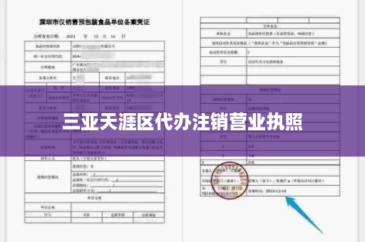 三亚天涯区代办注销营业执照