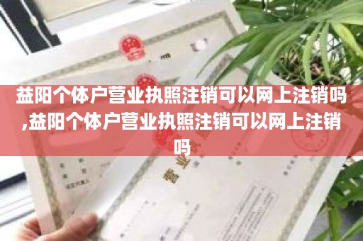 益阳个体户营业执照注销可以网上注销吗,益阳个体户营业执照注销可以网上注销吗