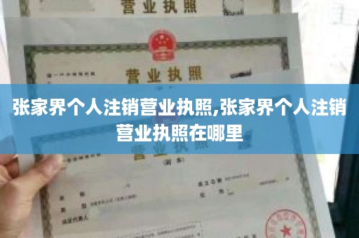 张家界个人注销营业执照,张家界个人注销营业执照在哪里