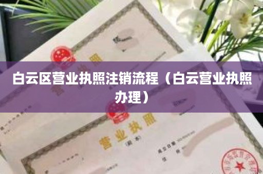白云区营业执照注销流程（白云营业执照办理）