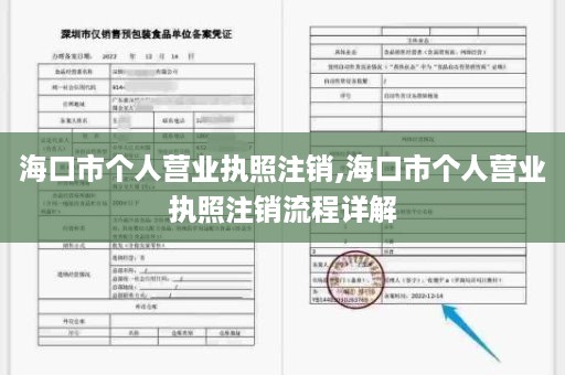 海口市个人营业执照注销,海口市个人营业执照注销流程详解