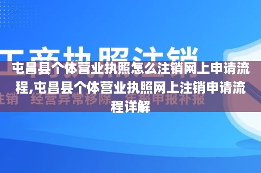 屯昌县个体营业执照怎么注销网上申请流程,屯昌县个体营业执照网上注销申请流程详解