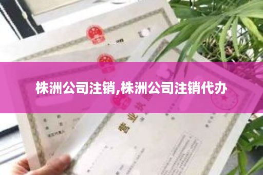 株洲公司注销,株洲公司注销代办
