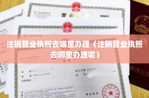 注销营业执照去哪里办理（注销营业执照去哪里办理呢）
