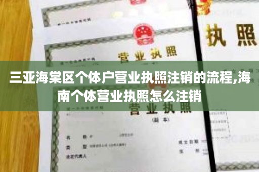 三亚海棠区个体户营业执照注销的流程,海南个体营业执照怎么注销