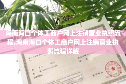海南海口个体工商户网上注销营业执照流程,海南海口个体工商户网上注销营业执照流程详解