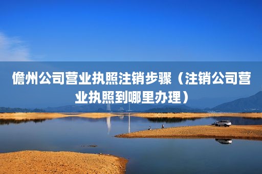 儋州公司营业执照注销步骤（注销公司营业执照到哪里办理）