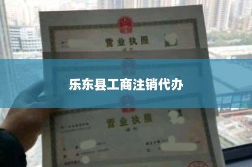 乐东县工商注销代办