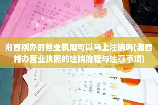 湘西刚办的营业执照可以马上注销吗(湘西新办营业执照的注销流程与注意事项)
