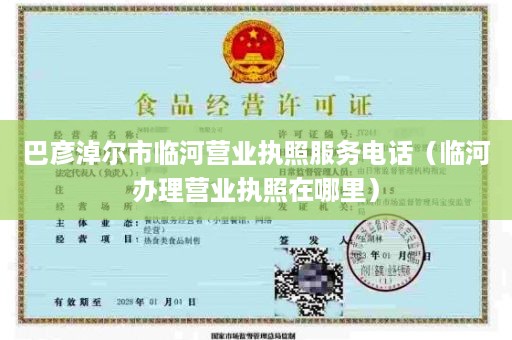 巴彦淖尔市临河营业执照服务电话（临河办理营业执照在哪里）