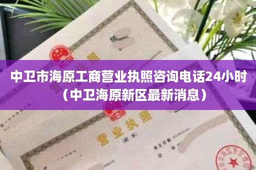 中卫市海原工商营业执照咨询电话24小时（中卫海原新区最新消息）