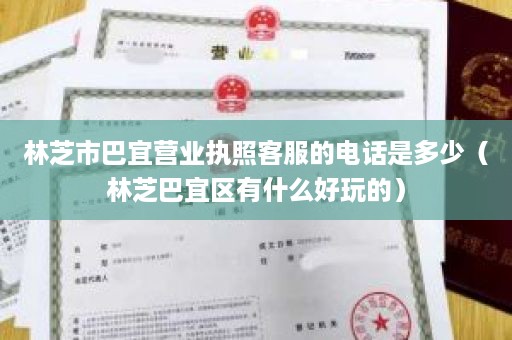 林芝市巴宜营业执照客服的电话是多少（林芝巴宜区有什么好玩的）