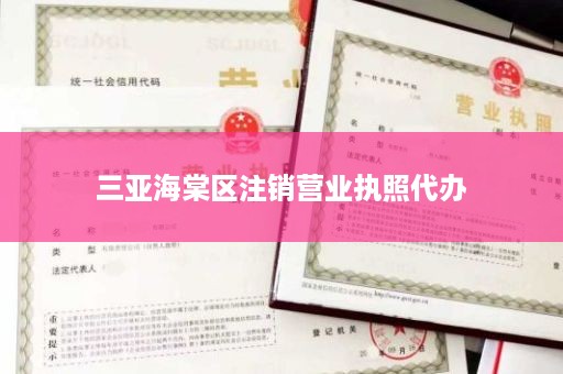 三亚海棠区注销营业执照代办