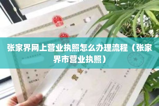 张家界网上营业执照怎么办理流程（张家界市营业执照）