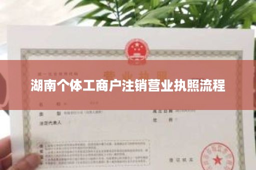 湖南个体工商户注销营业执照流程