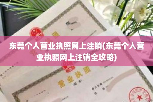 东莞个人营业执照网上注销(东莞个人营业执照网上注销全攻略)