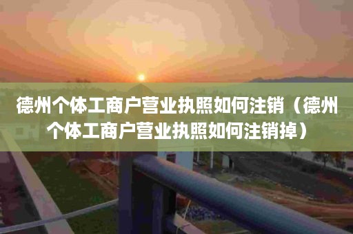 德州个体工商户营业执照如何注销（德州个体工商户营业执照如何注销掉）