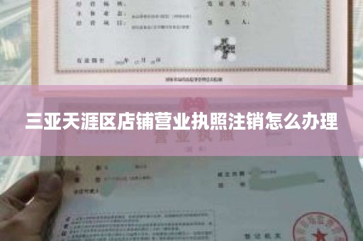 三亚天涯区店铺营业执照注销怎么办理