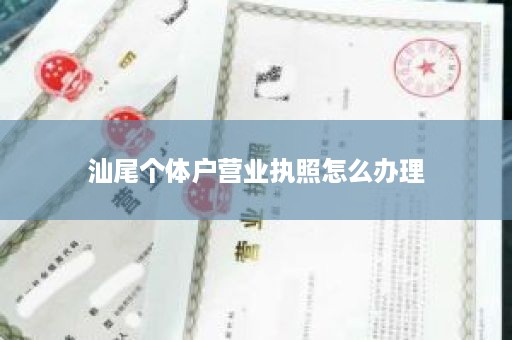 汕尾个体户营业执照怎么办理