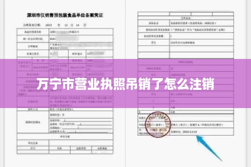 万宁市营业执照吊销了怎么注销