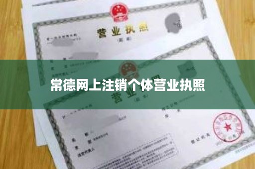 常德网上注销个体营业执照
