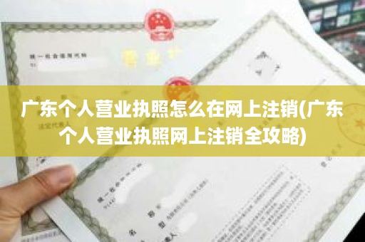 广东个人营业执照怎么在网上注销(广东个人营业执照网上注销全攻略)