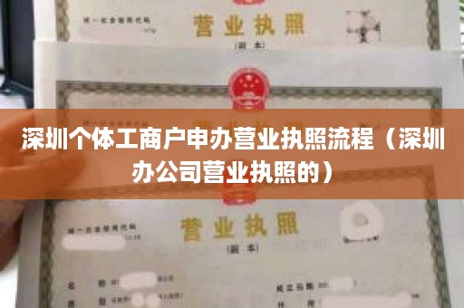 深圳个体工商户申办营业执照流程（深圳办公司营业执照的）