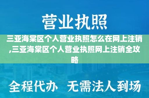三亚海棠区个人营业执照怎么在网上注销,三亚海棠区个人营业执照网上注销全攻略