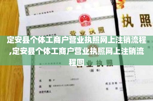 定安县个体工商户营业执照网上注销流程,定安县个体工商户营业执照网上注销流程图